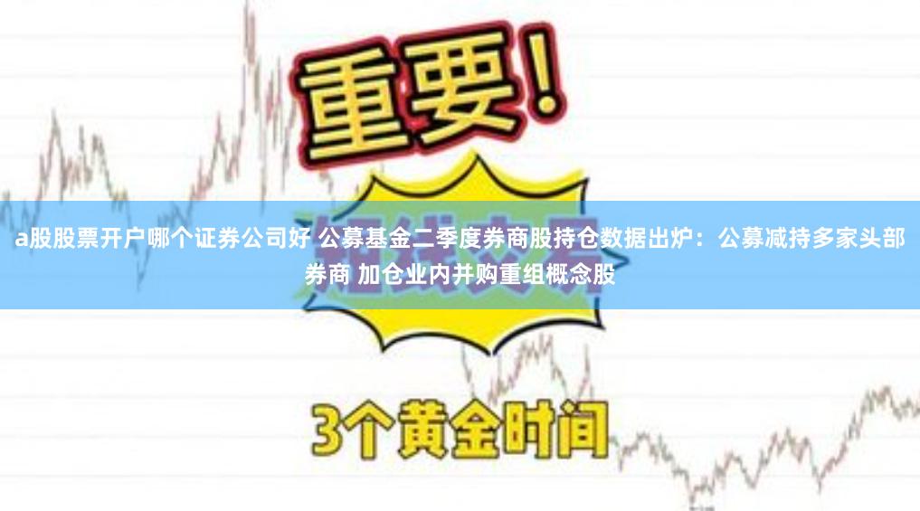 a股股票开户哪个证券公司好 公募基金二季度券商股持仓数据出炉：公募减持多家头部券商 加仓业内并购重组概念股