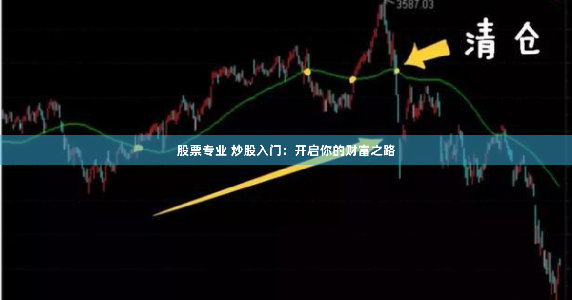 股票专业 炒股入门：开启你的财富之路