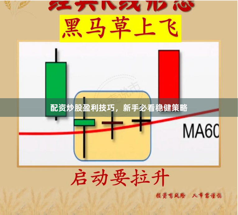配资炒股盈利技巧，新手必看稳健策略