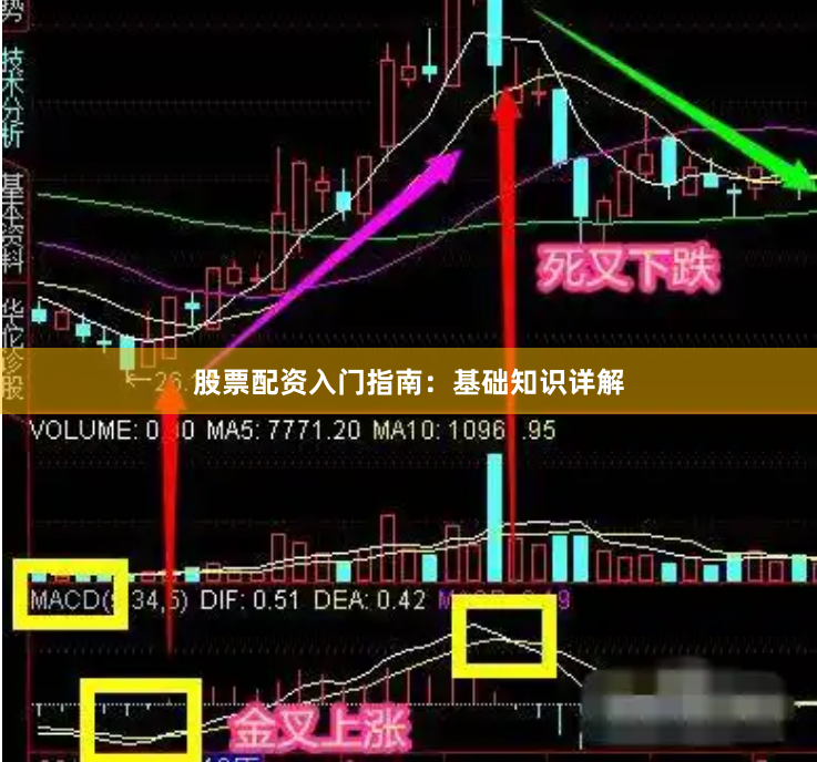 股票配资入门指南：基础知识详解
