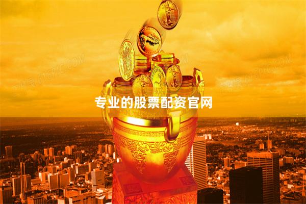 专业的股票配资官网